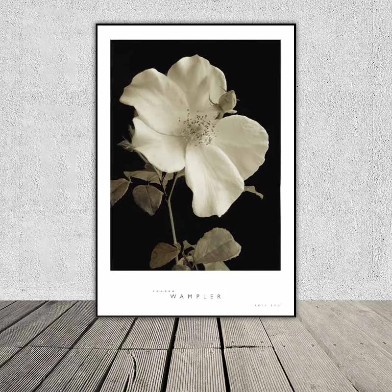 Tranh hoa Thược Dược và hoa Hồng kết hợp chữ