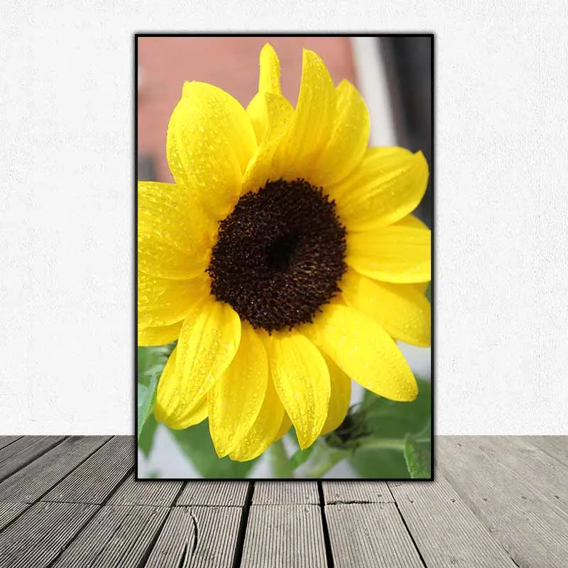 Tranh bộ hoa sắc vàng, hoa hướng dương