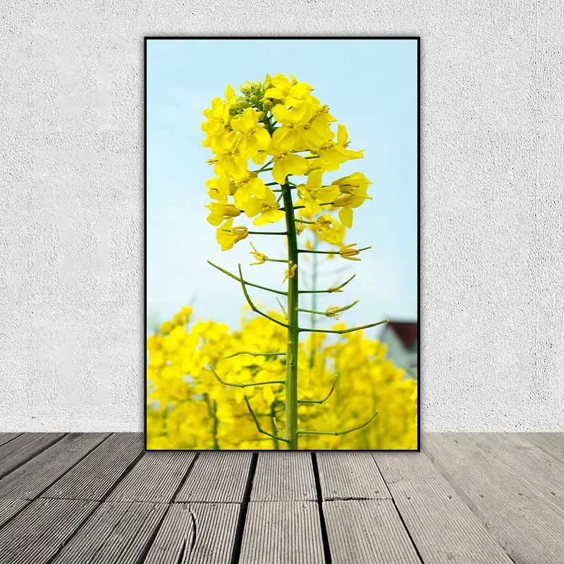 Tranh phong cảnh scandinavia cánh đồng vàng và cành hoa