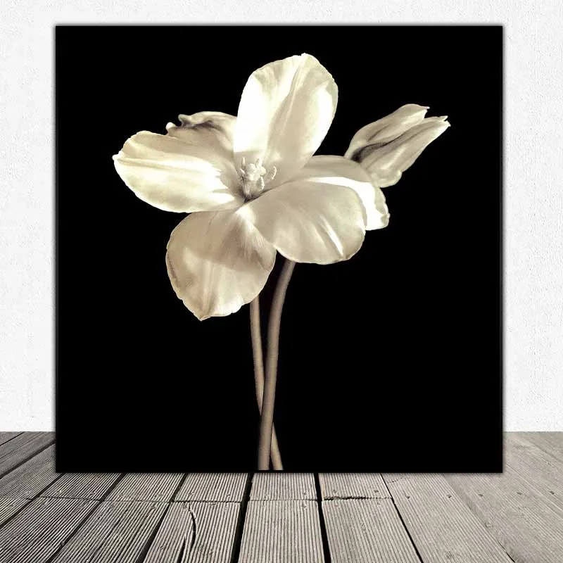 Tranh hoa Tulip và hoa Rum (Calla Lyli) trên nền đen