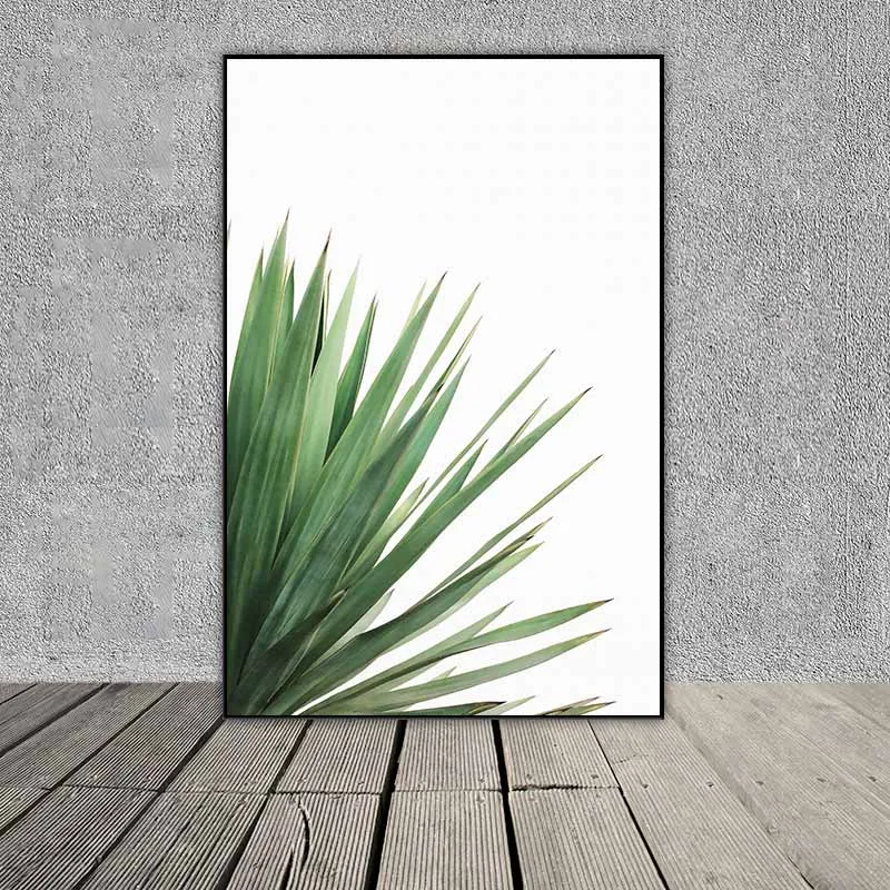 Tranh các loại lá cây nhiệt đới và cây xương rồng