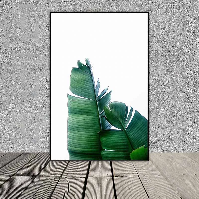 Tranh các loại lá cây nhiệt đới và cây xương rồng