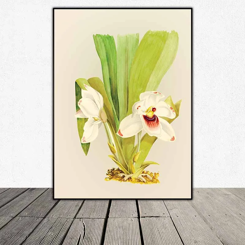 Trang Trí Nhà Cửa Với 6 Tranh Canvas Hoa Lan