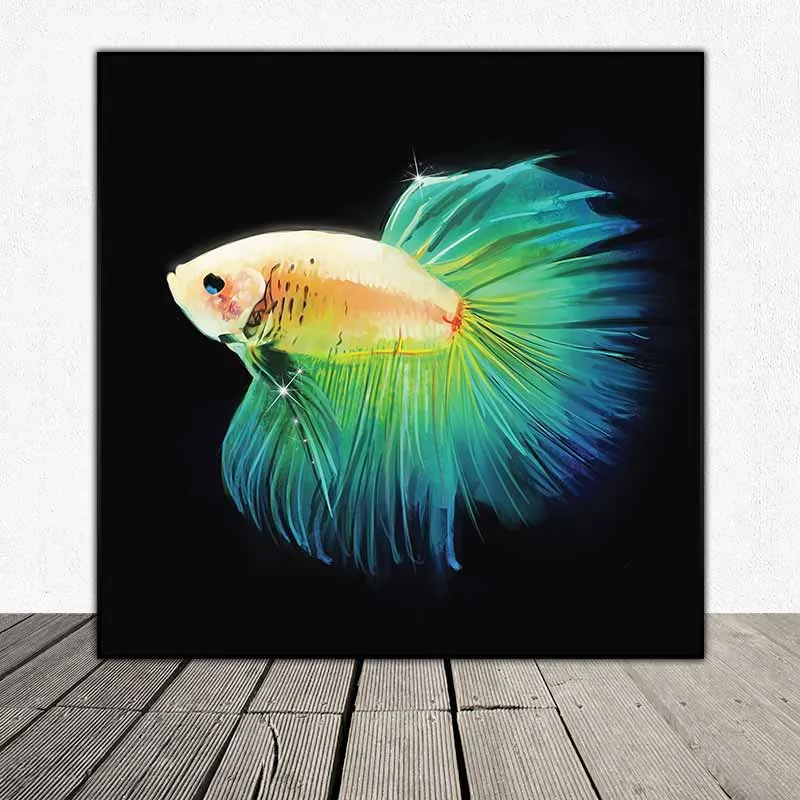 Tranh cá phướng, cá Beta, có chọi cá đá treo văn phòng