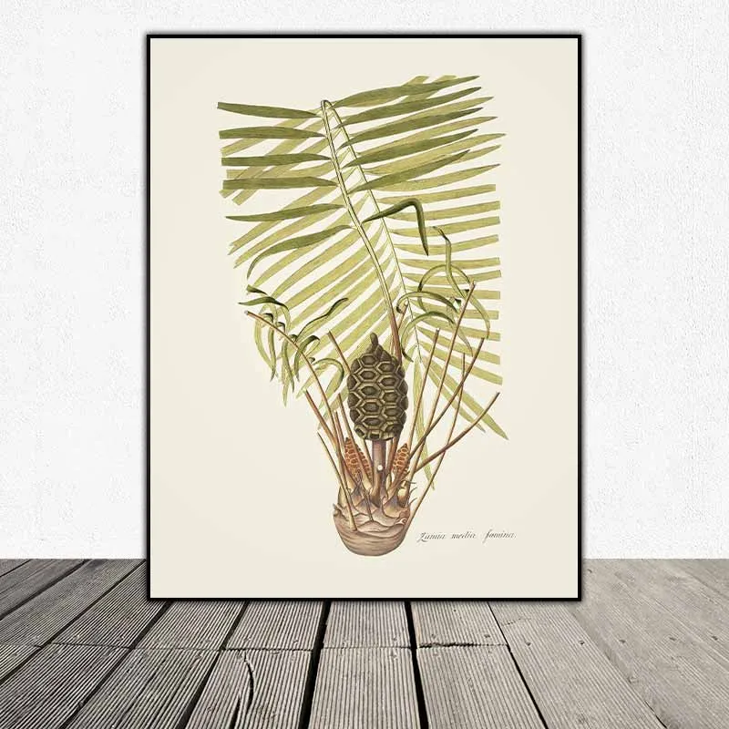 54 mẫu tranh thực vật Botanical