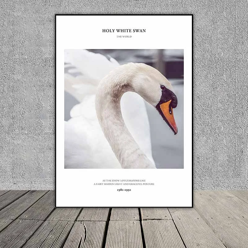 Tranh chim thiên nga kết hợp chữ Meet an Elf like white swan