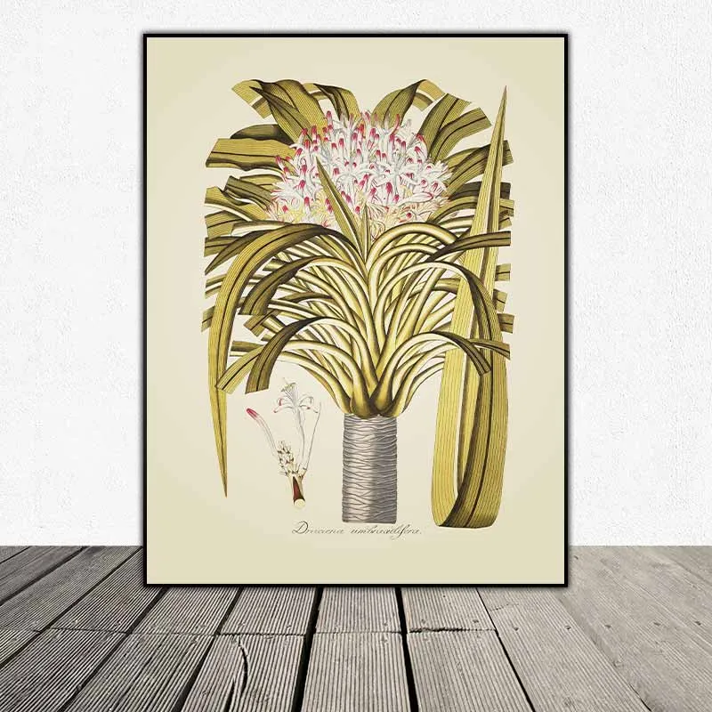 54 mẫu tranh thực vật Botanical