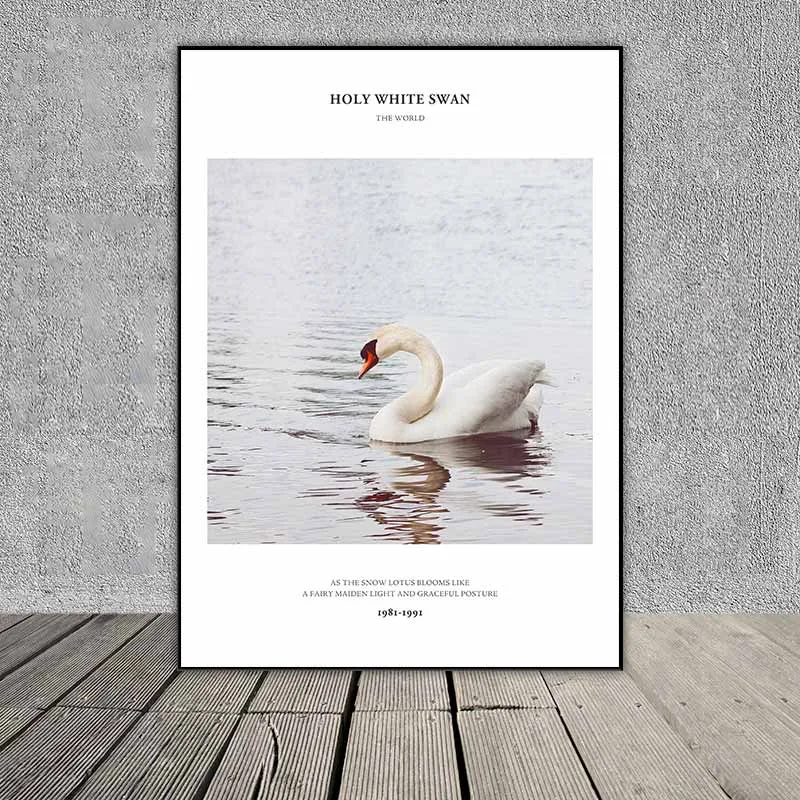 Tranh chim thiên nga kết hợp chữ Meet an Elf like white swan