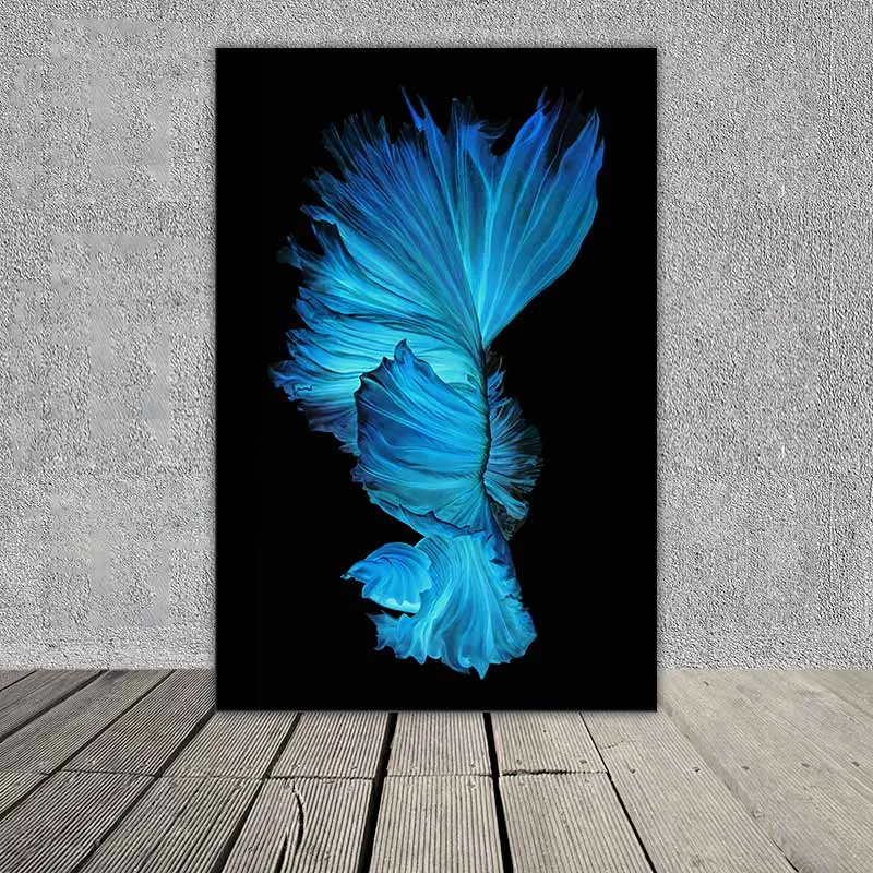 Tranh cá phướng, cá xiêm, cá chọi, cá đá, cá beta nhìn từ phía sau