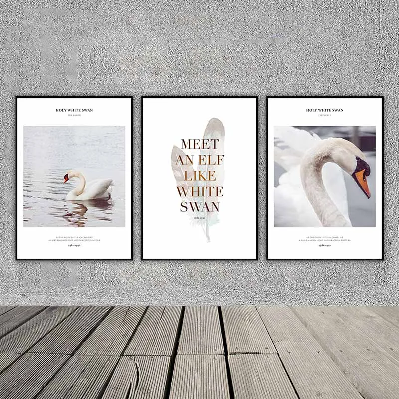 Tranh chim thiên nga kết hợp chữ Meet an Elf like white swan