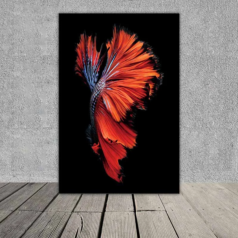 Tranh cá phướng, cá xiêm, cá chọi, cá đá, cá beta nhìn từ phía sau