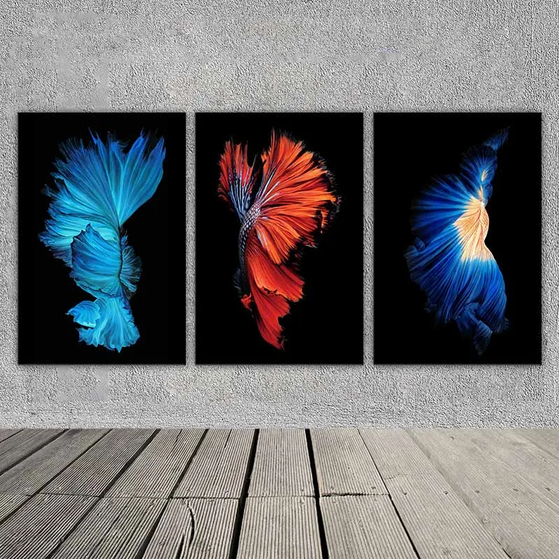 Tranh cá phướng, cá xiêm, cá chọi, cá đá, cá beta nhìn từ phía sau