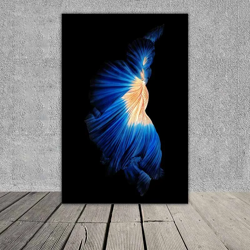 Tranh cá phướng, cá xiêm, cá chọi, cá đá, cá beta nhìn từ phía sau