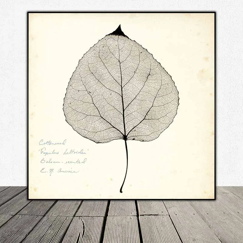 Tranh lá cây nhiệt đới tông màu xưa cũ