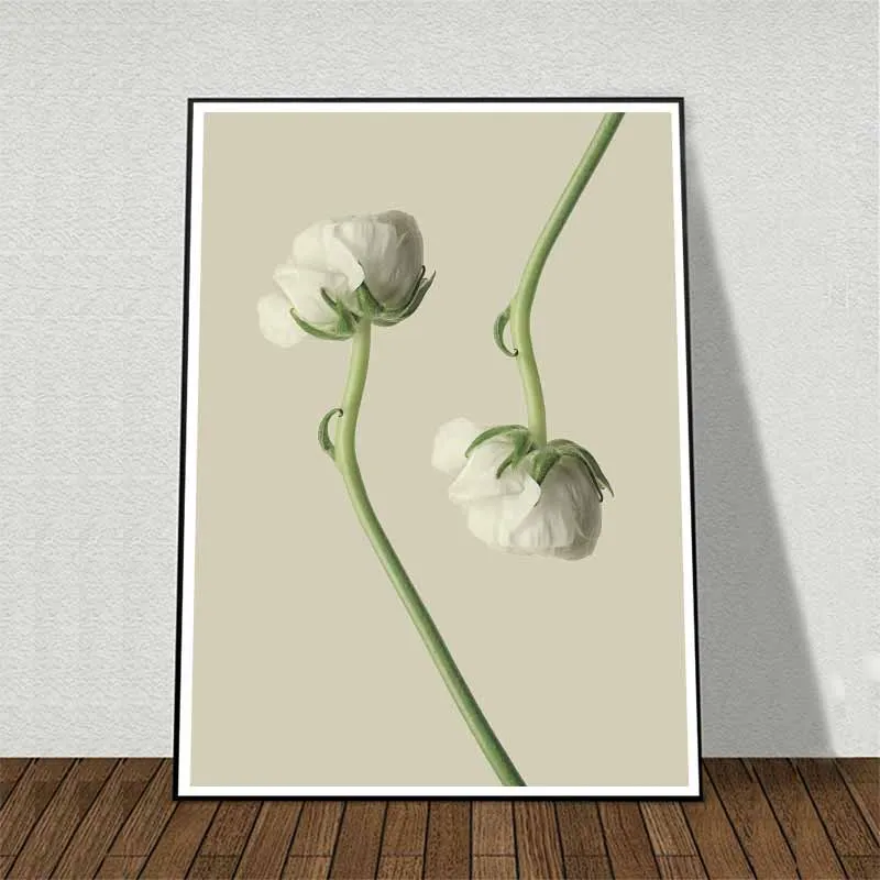 Tranh hoa Mao Lương (Hoàng Liên) trắng