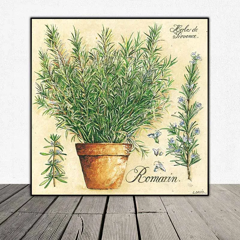 Hương Thơm Provence