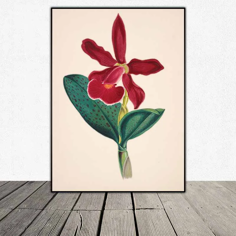 Trang Trí Nhà Cửa Với 6 Tranh Canvas Hoa Lan