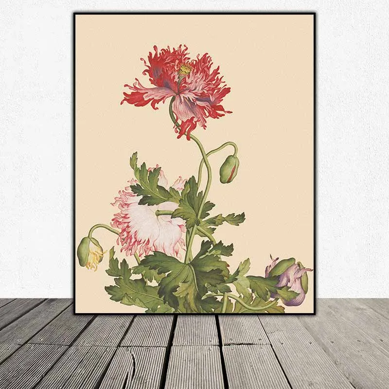 Tranh hoa Loa Kèn, hoa Mẫu Đơn, hoa Mào Gà, hoa Anh Túc, hoa Diên Vĩ