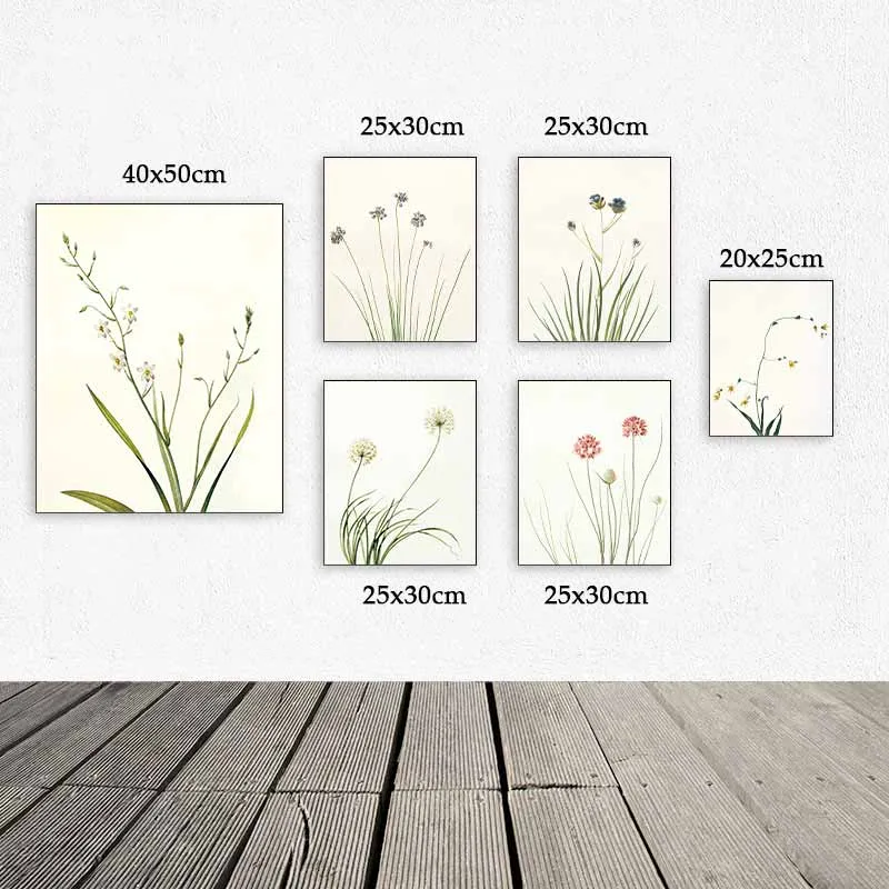 Mang thiên nhiên vào nhà với bộ tranh thực vật