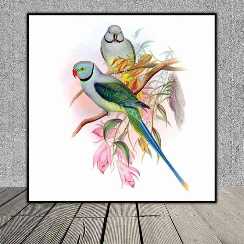 Tranh đôi chim vẹt, chim két