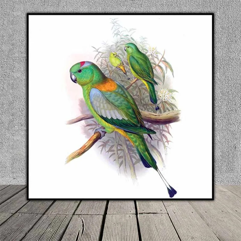 Tranh đôi chim vẹt, chim két