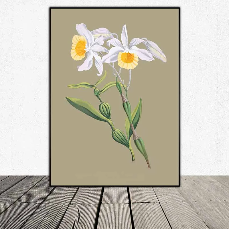 Trang Trí Nhà Cửa Với 6 Tranh Canvas Hoa Lan