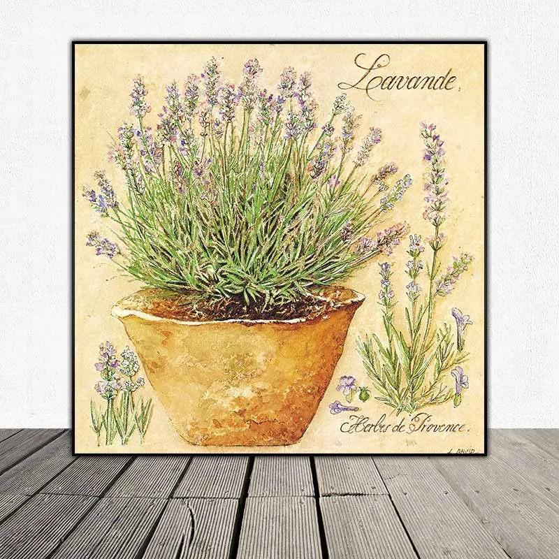 Hương Thơm Provence