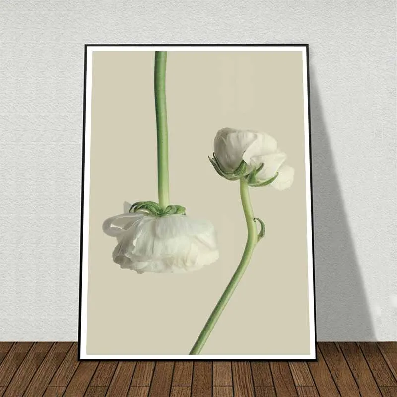 Tranh hoa Mao Lương (Hoàng Liên) trắng