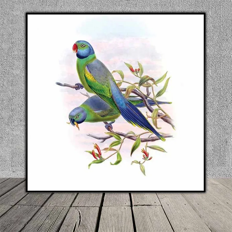 Tranh đôi chim vẹt, chim két