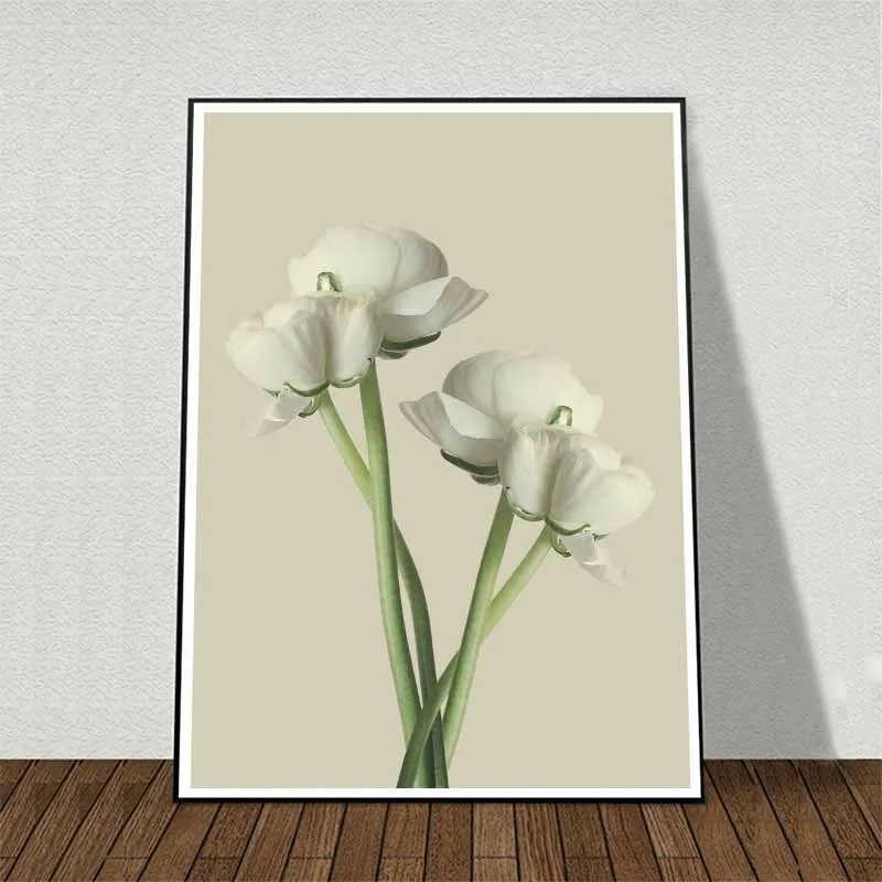 Tranh hoa Mao Lương (Hoàng Liên) trắng