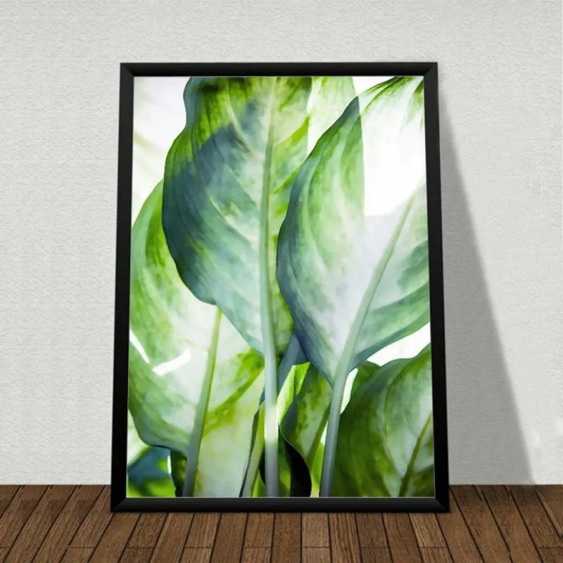 Tranh canvas lá cây nhiệt đới lá Môn, lá cây Phú quý theo phong cách màu nước