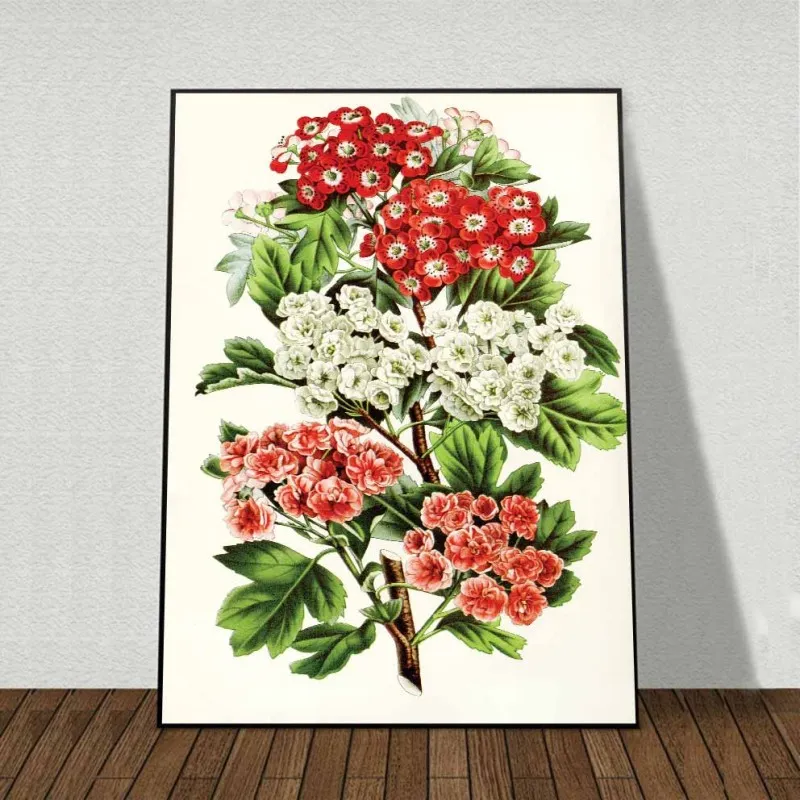 Tranh các loại hoa Cúc, hoa Sơn Trà, hoa Huyền Sâm