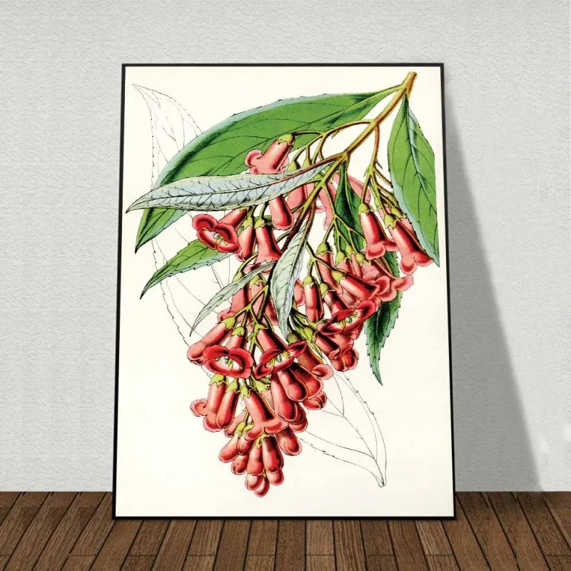 Tranh các loại hoa Cúc, hoa Sơn Trà, hoa Huyền Sâm