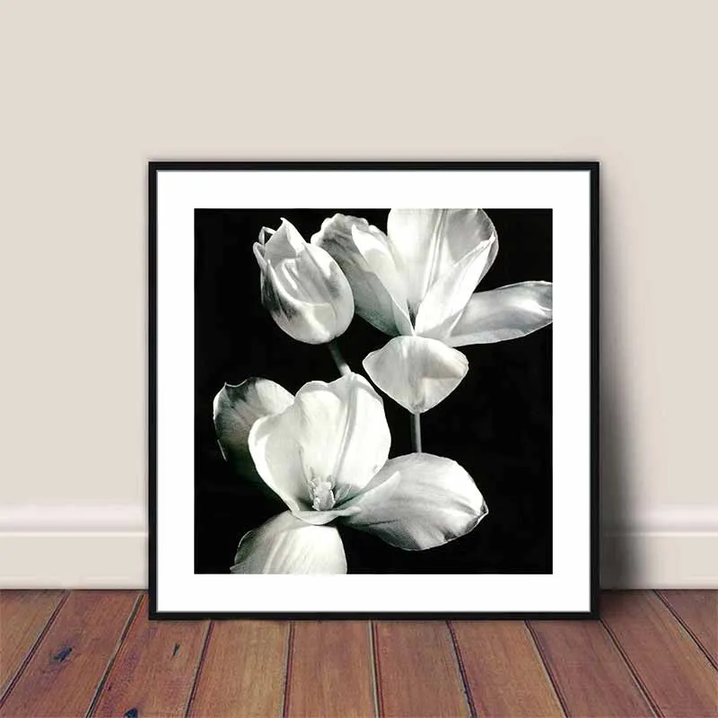 Tranh hoa trắng nền đen