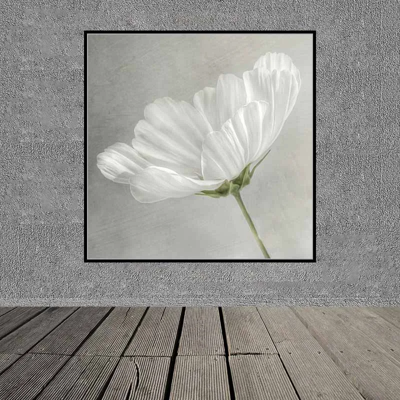 Tranh hoa sao nhái trắng trên nền xám