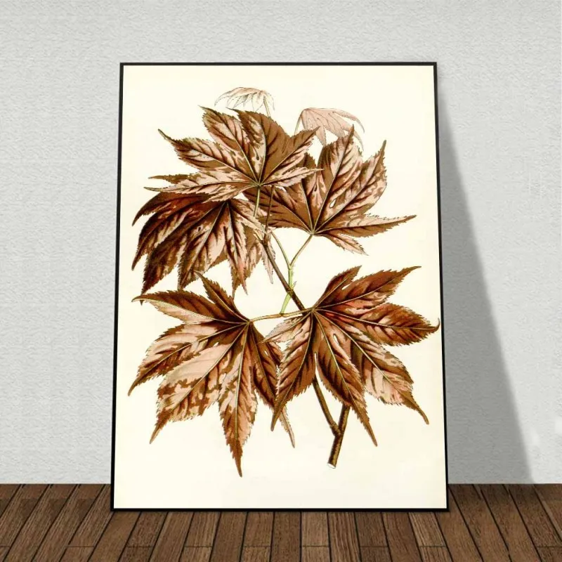 Tranh canvas lá Phong Nhật và hoa Cẩm Chướng Gấm