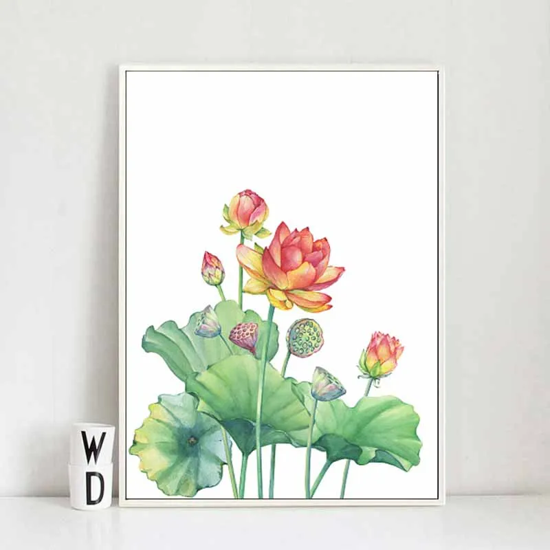 Tranh hoa sen và hoa súng