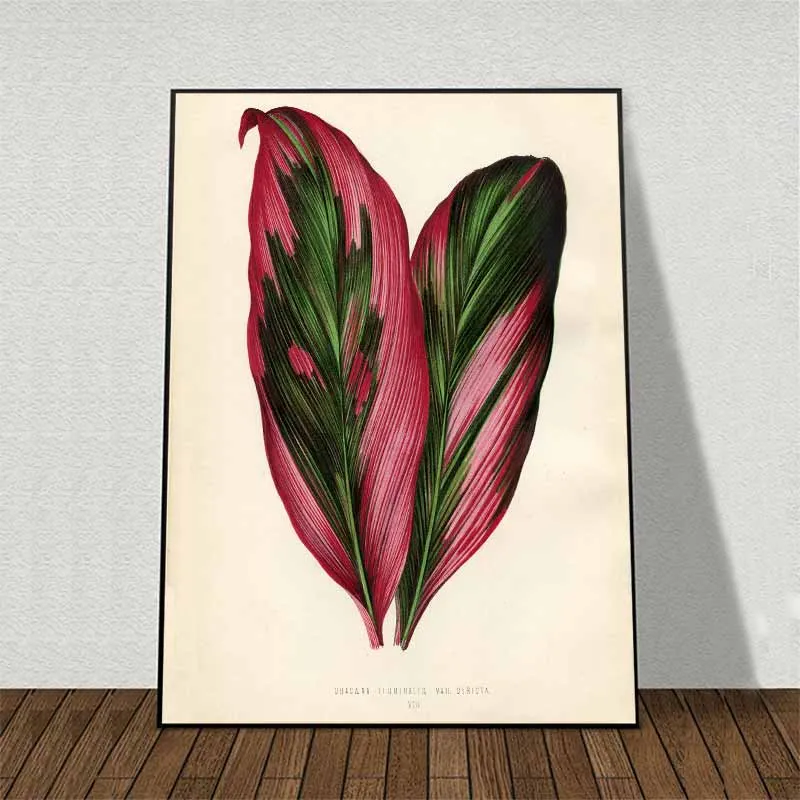 11 bức tranh các loại lá cây