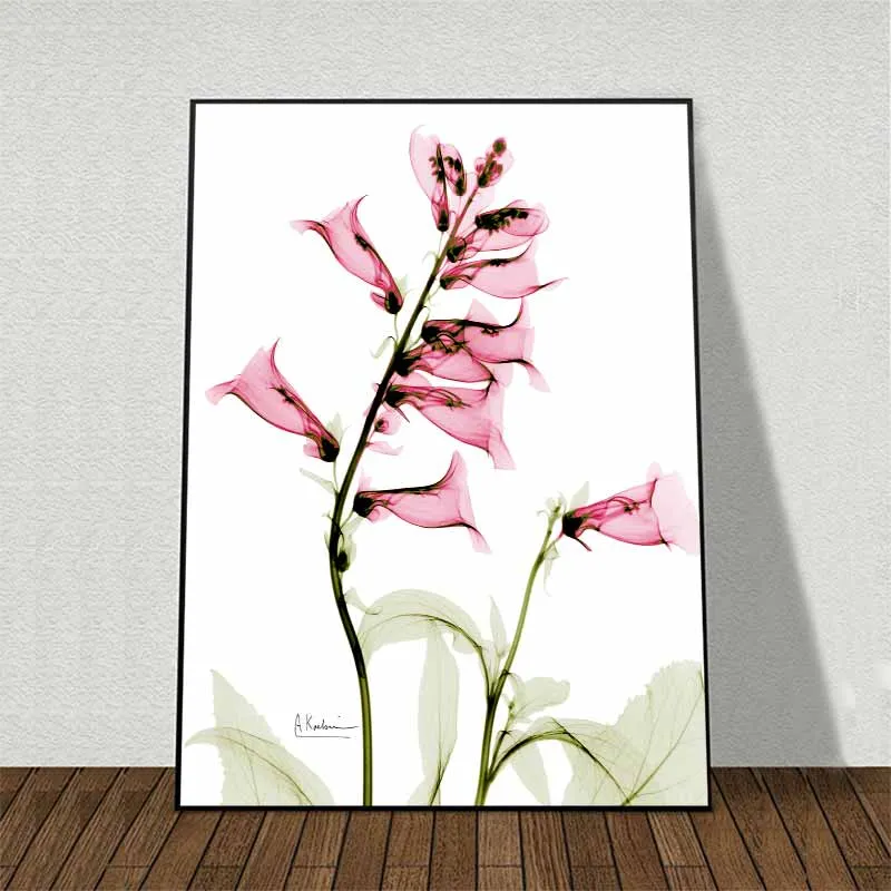 Tranh hoa Tulip, hoa loa kèn