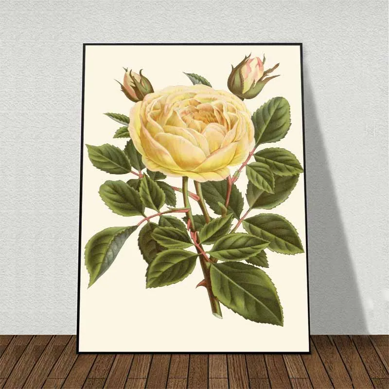 Tranh canvas Hoa lan Catleya đỏ, hoa Hồng vàng, hoa Đồng Tiền