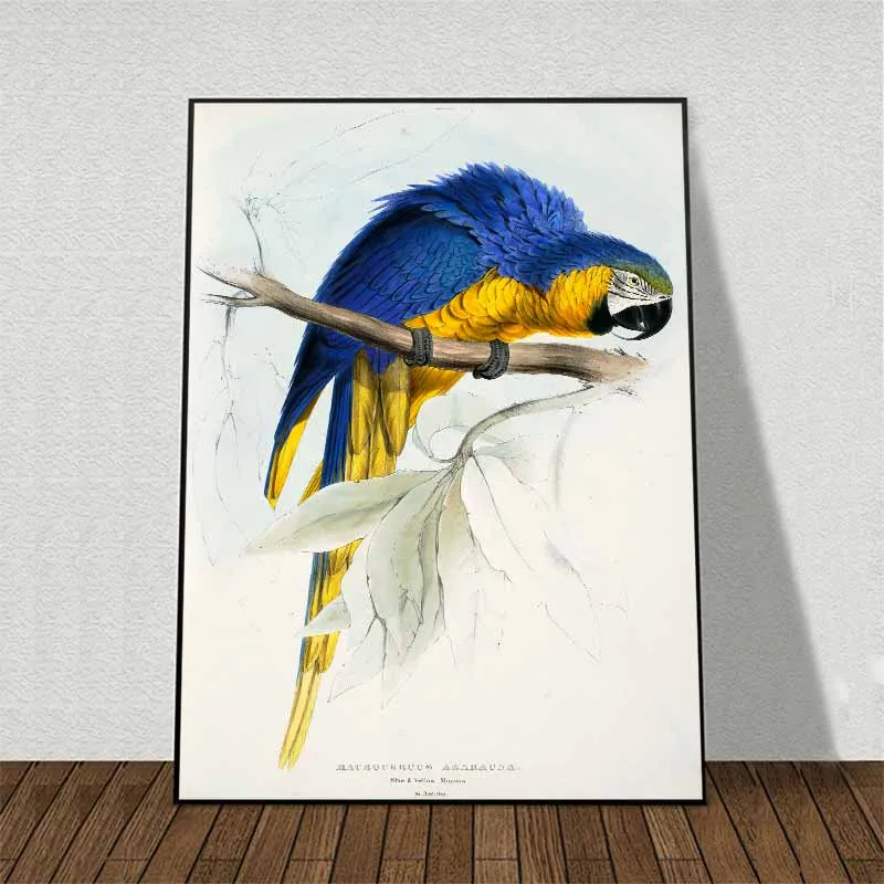 Tranh Canvas chim két vẹt đỏ và vàng