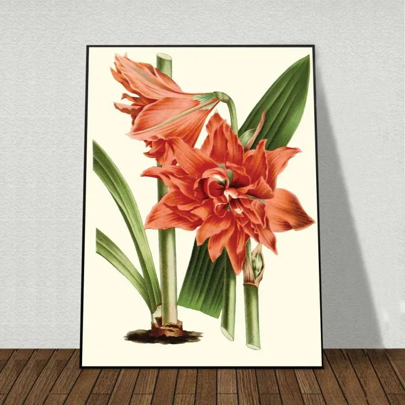 Tranh canvas Hoa lan Catleya đỏ, hoa Hồng vàng, hoa Đồng Tiền