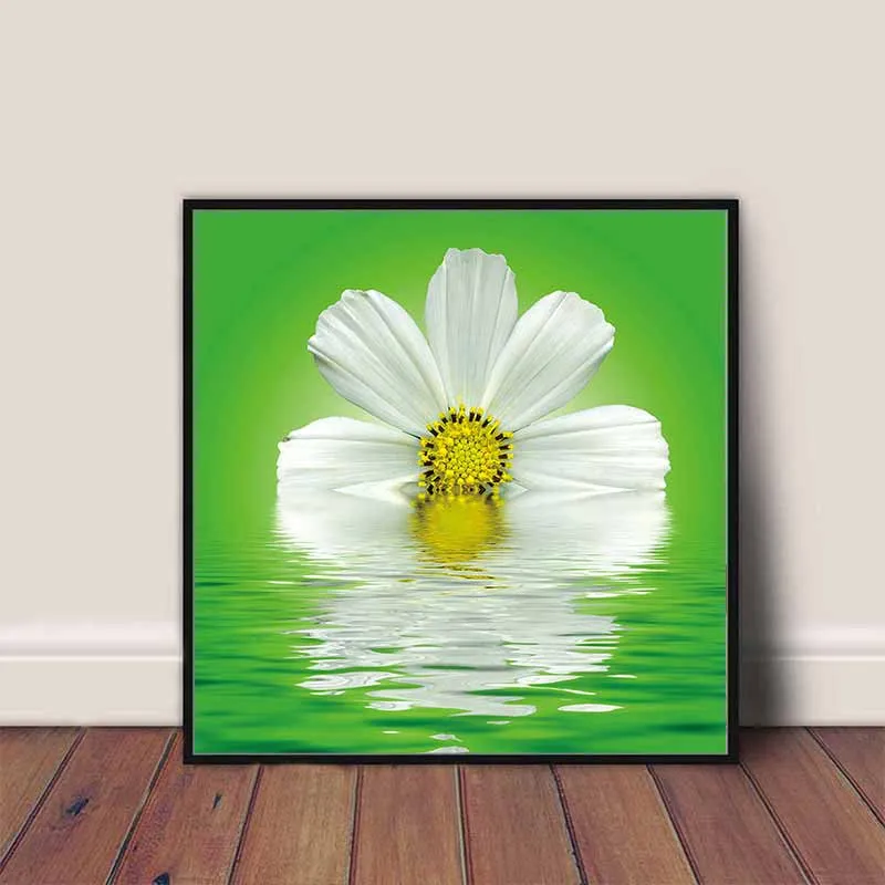 Tranh hoa cúc trắng