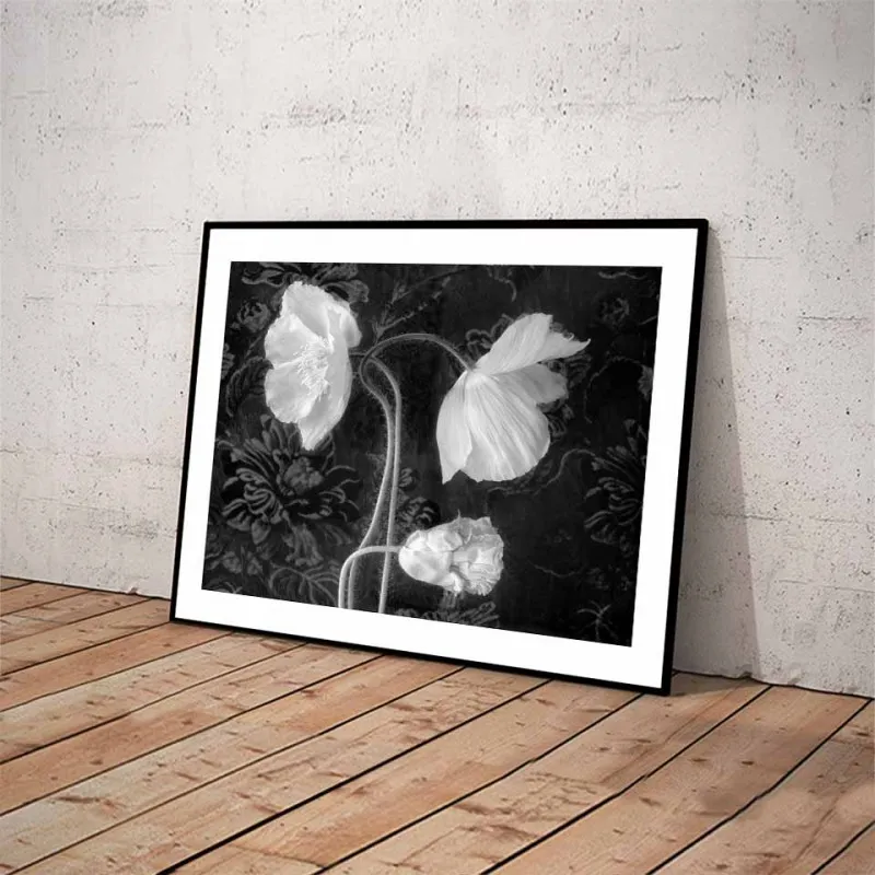 Tranh canvas hoa Trà, hoa Lan