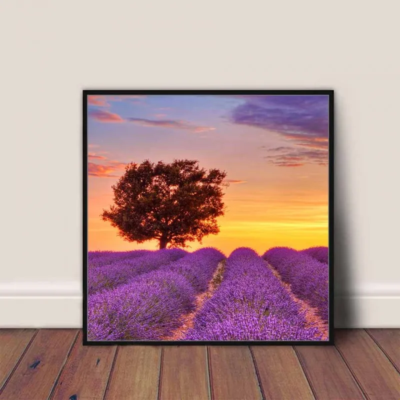 Tranh canvas cánh đồng hoa màu tím