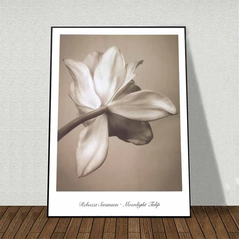 Tranh canvas hoa Tulip kết hợp chữ Rebecca Swanson – Moonlight Tulip