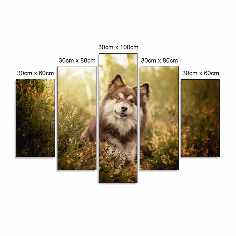 Tranh Chú Chó Alaska