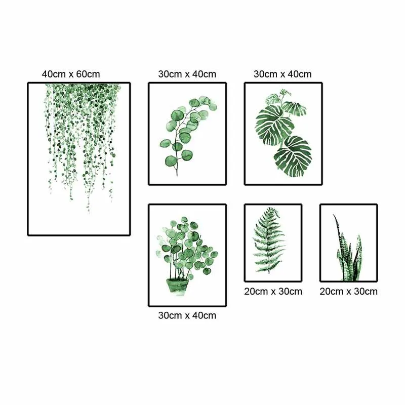 Tranh canvas các loại lá cây nhiệt đới