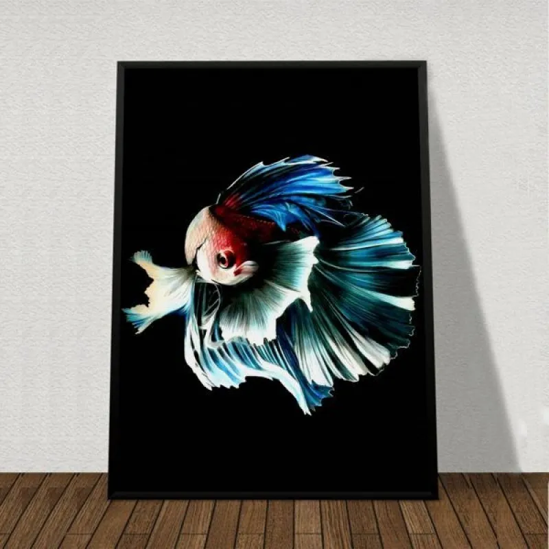Tranh bộ cá phướng và cá vàng khiêu vũ