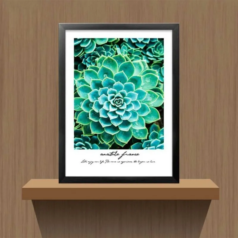 Tranh các loại sen đá kết hợp chữ